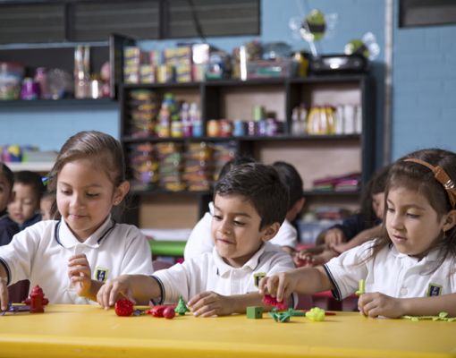 Desde Pre-primaria hasta Diversificado
